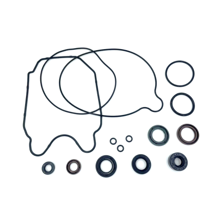 SEAL KIT for ANIMA 4VALVE (150F/160F/190F/190S/212)