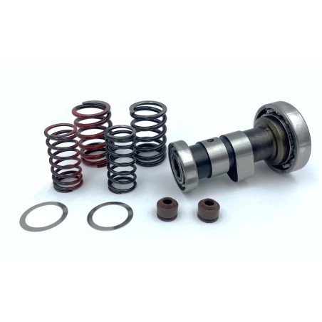 HIGH-LIFT CAMSHAFT KIT, W125-G