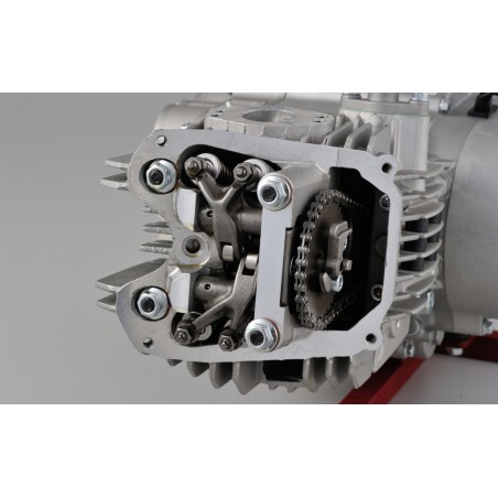 [DISCONTINUED] - ANIMA190FD5 - 5speed/Heavy rotor/φ62x62mm